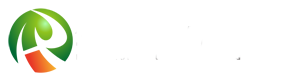 ob欧宝·体育(中国)官方网站